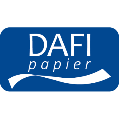 Dafipapier Ręcznik papierowy kuchenny MAXI 500 listków 2-warstwowy 6 rolek